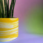 Large Plant Pot | Mango Swirl