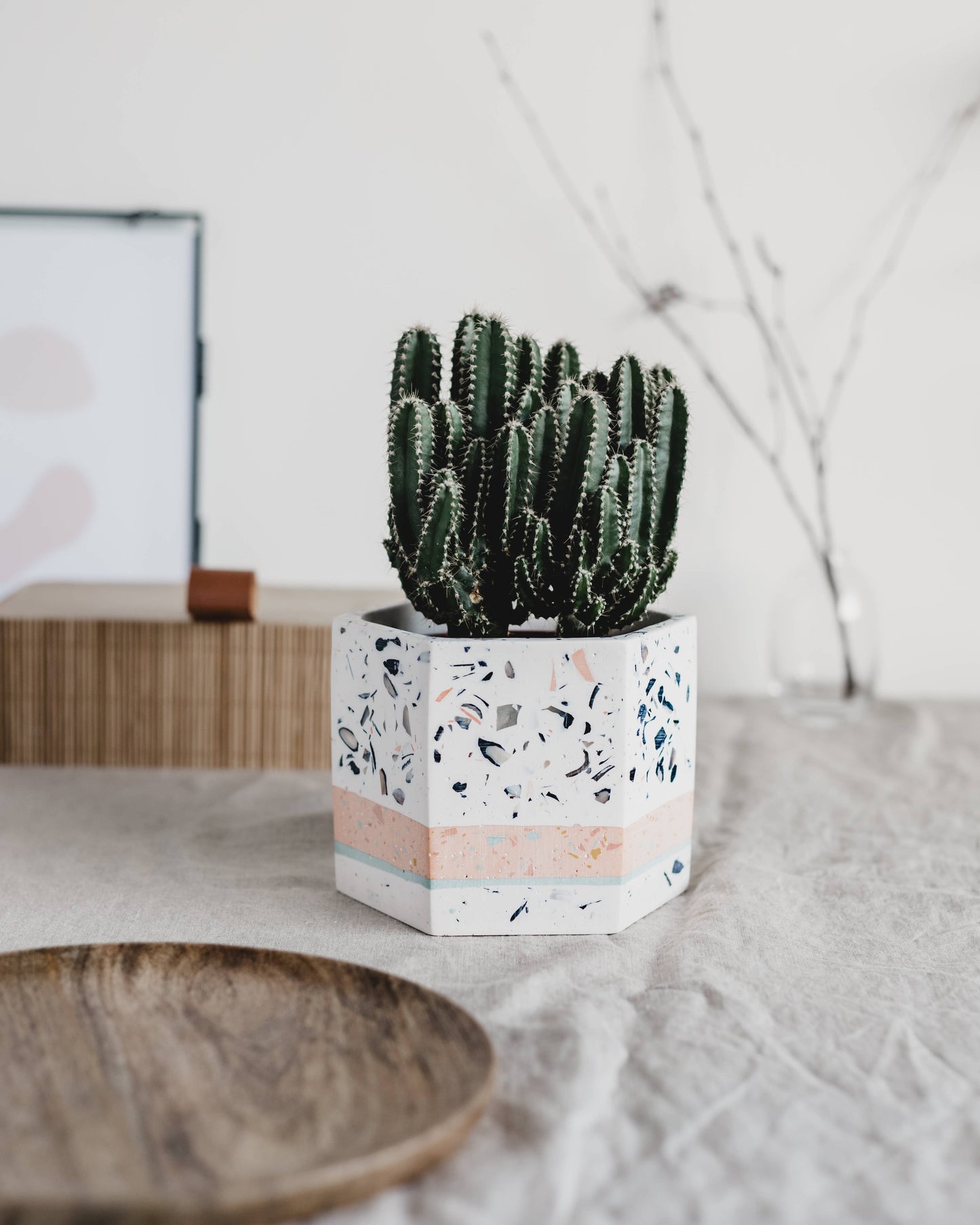 Layered Hexagon Terrazzo Plant Pot